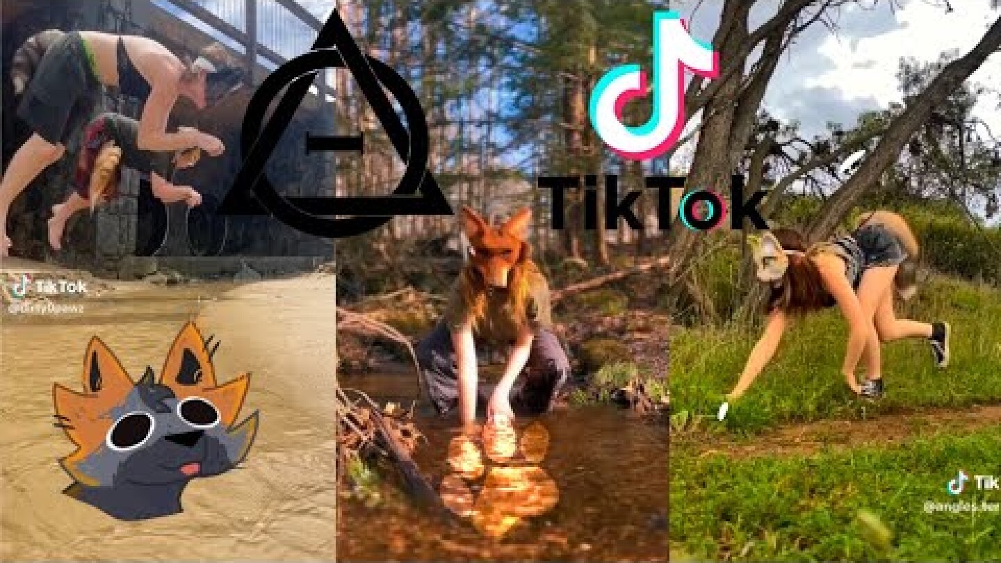 Therian and Quadrobics TikToks || Compilation 🐾🪱🌿|| Alterhumans of TikTok #83 }