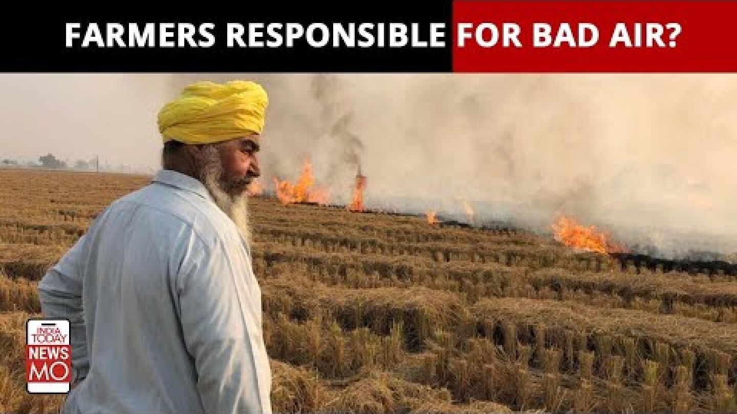 Stubble 'Parali' Burning: Why Does This Farm Practice Continue To Ail Delhi's Air