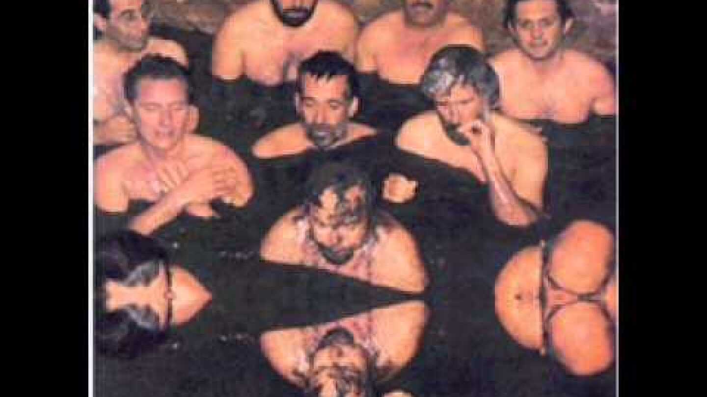 Χειμερινοί Κολυμβητές - Ο ξένος