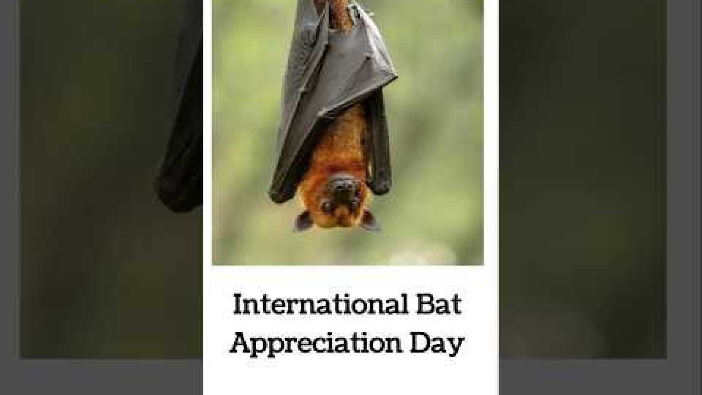 International Bat Appreciation Day 2025