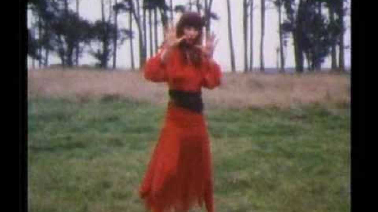 Kate Bush Wuthering Heights.