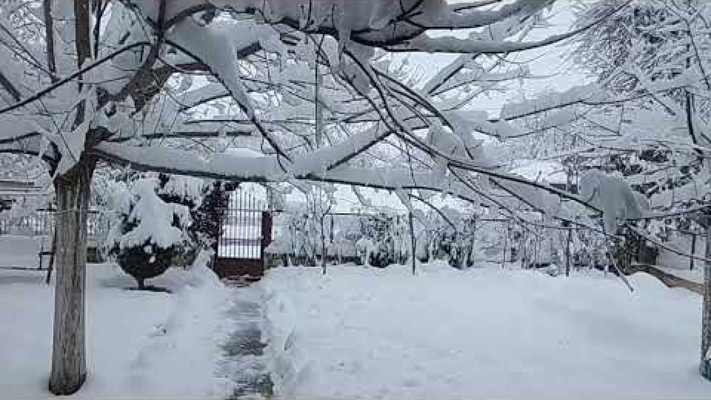 Κακοκαιρία Μήδεια... Καρδίτσα 14/2/21 Νο2
