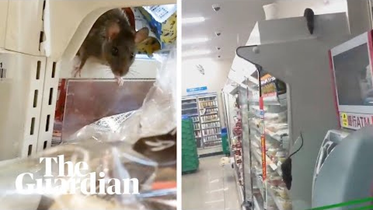 Rats descend on Tokyo convenience store