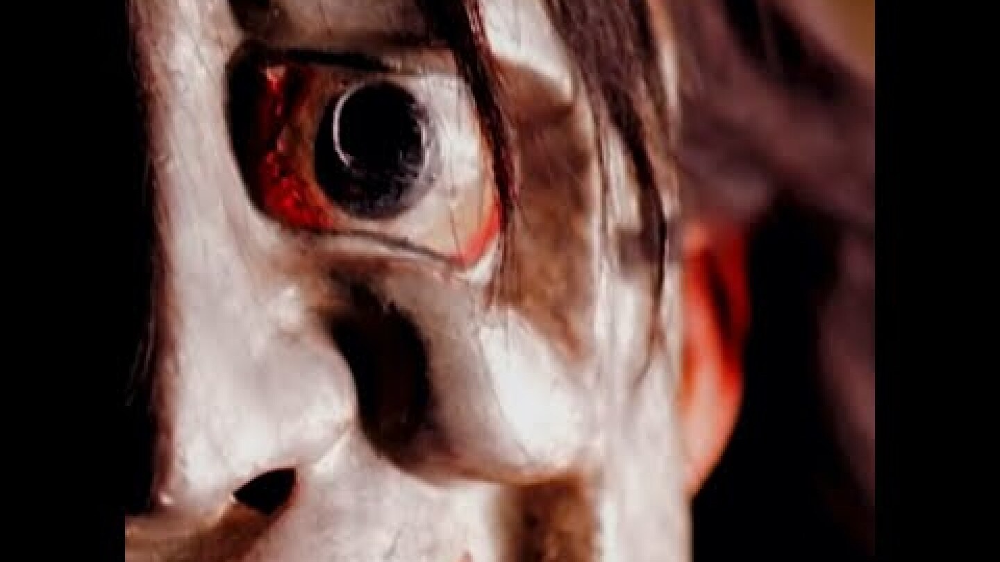 Dead Can Dance - Mushin