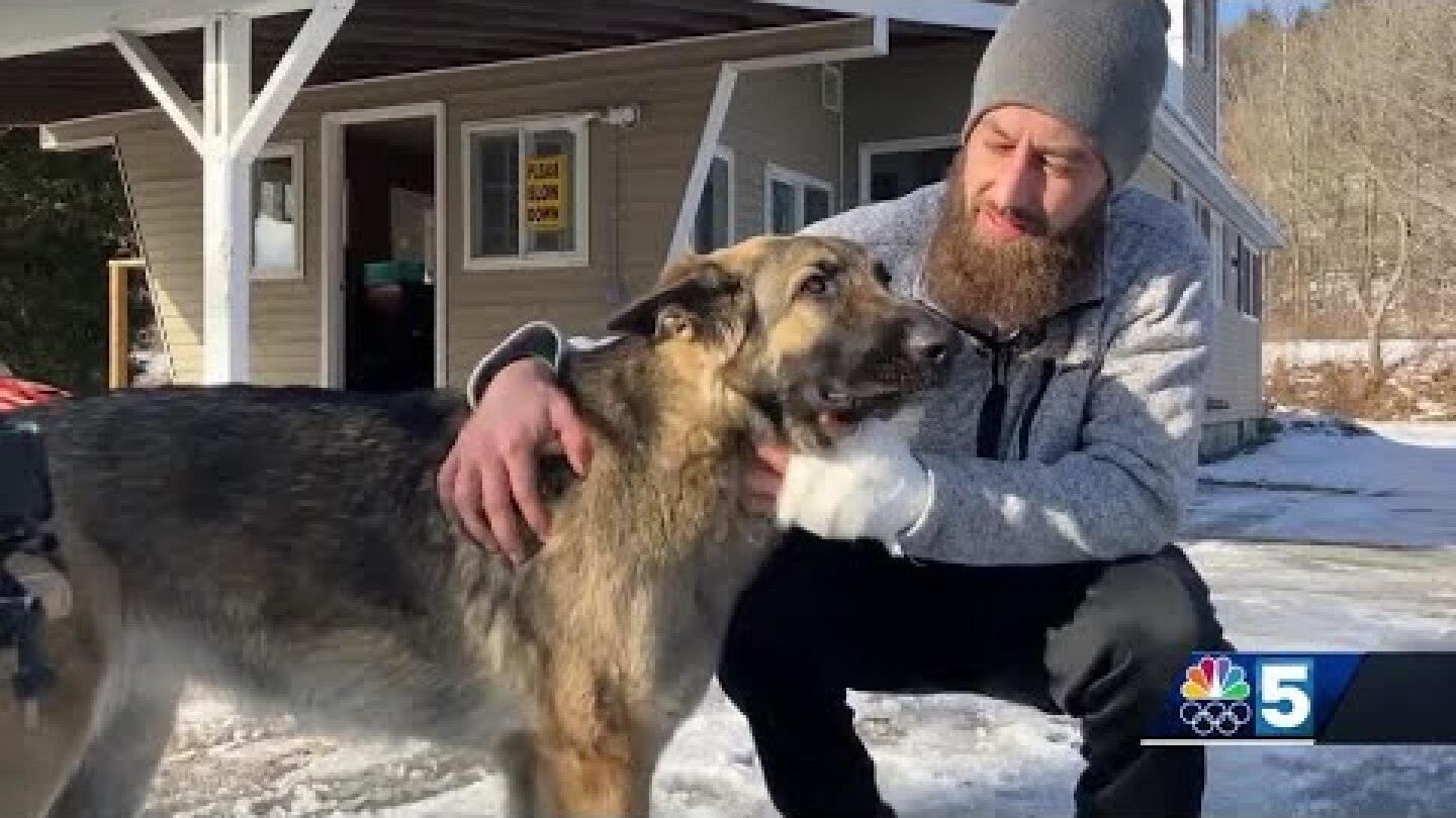 Dog helps police find owner after car crash