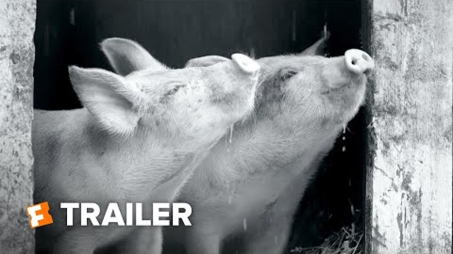 Gunda Trailer #1 (2021) | Movieclips Indie