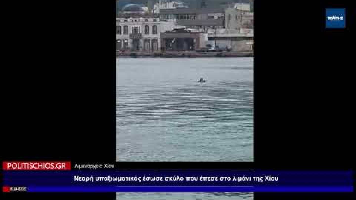 Νεαρή υπαξιωματικός έσωσε σκύλο που έπεσε στο λιμάνι της Χίου