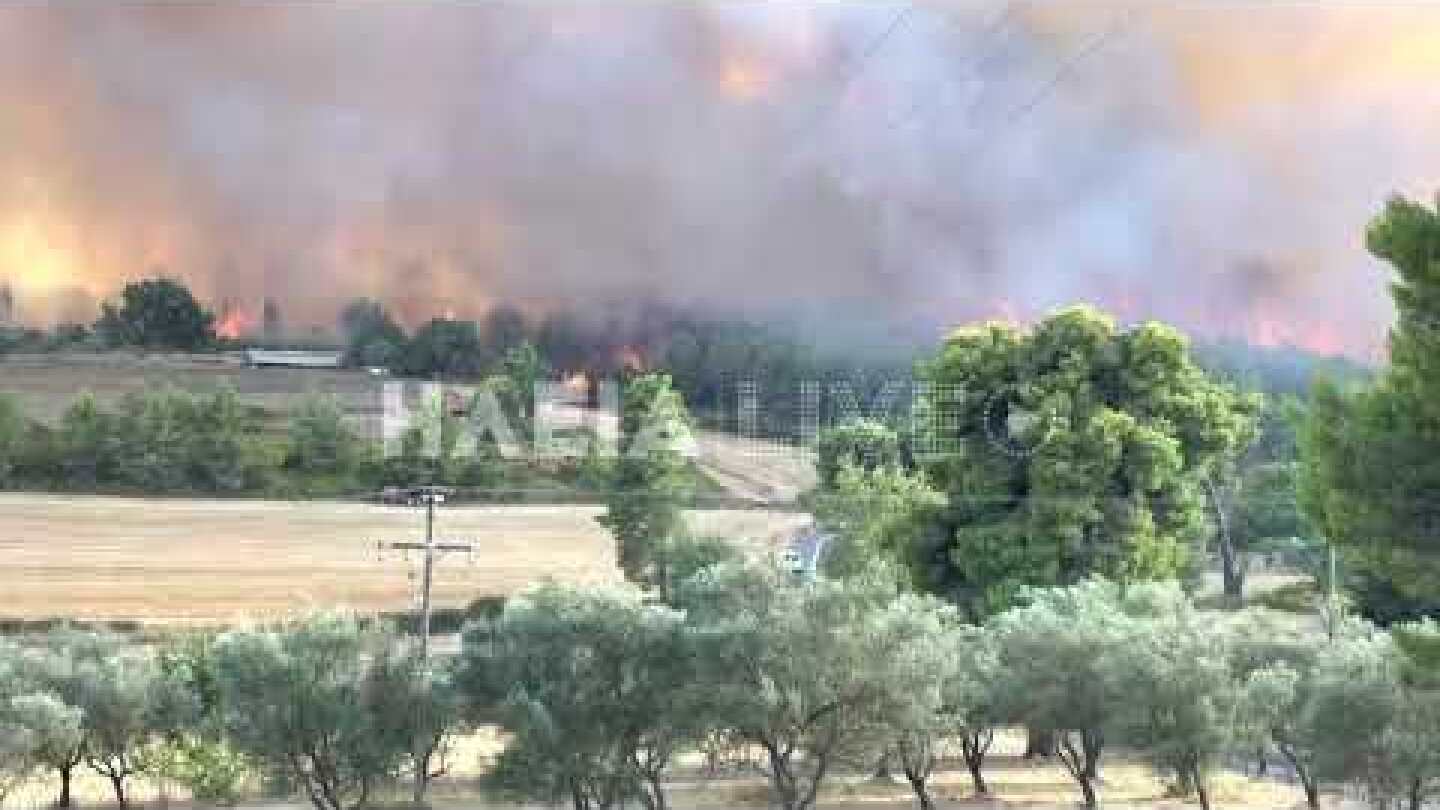 ilialive.gr - Καίγεται το δάσος της Νεμούτας 5