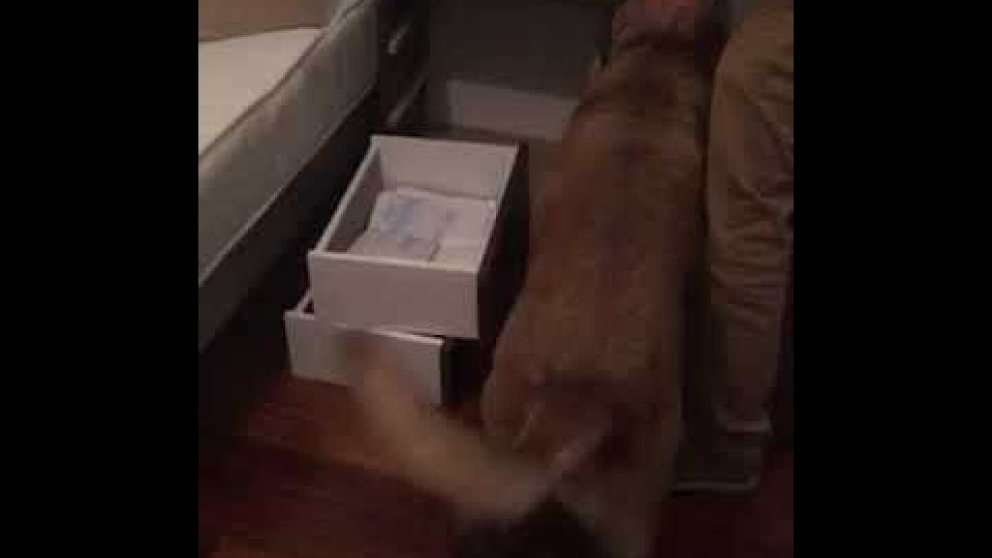 Συλληψη 4 μελών εγκληματικής οργάνωσης διακίνησης ναρκωτικών σε Αττική και Μύκονο