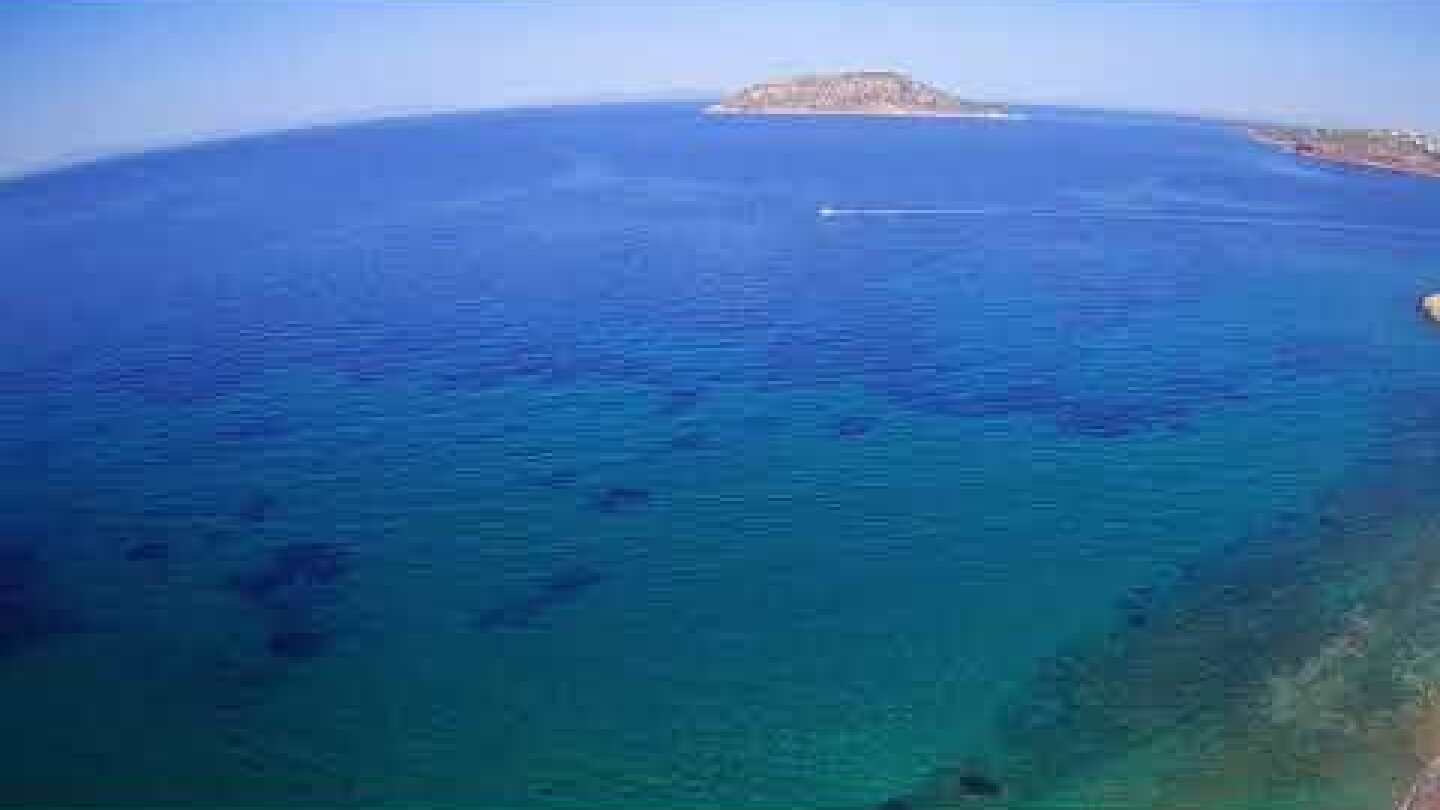 Θυμάρι Αναβύσσου 22/04/2018