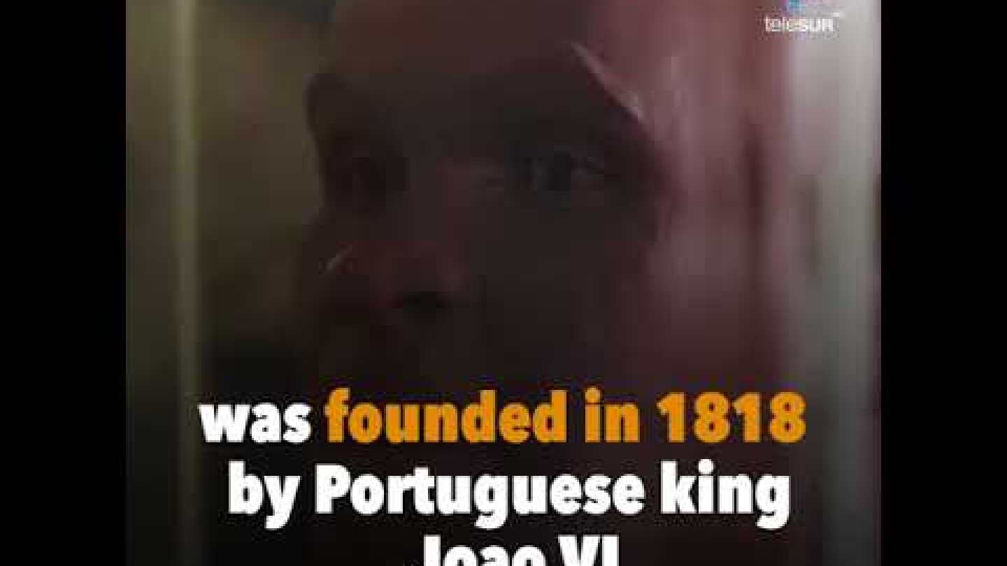 Fire Engulfs Brazil's National Museum