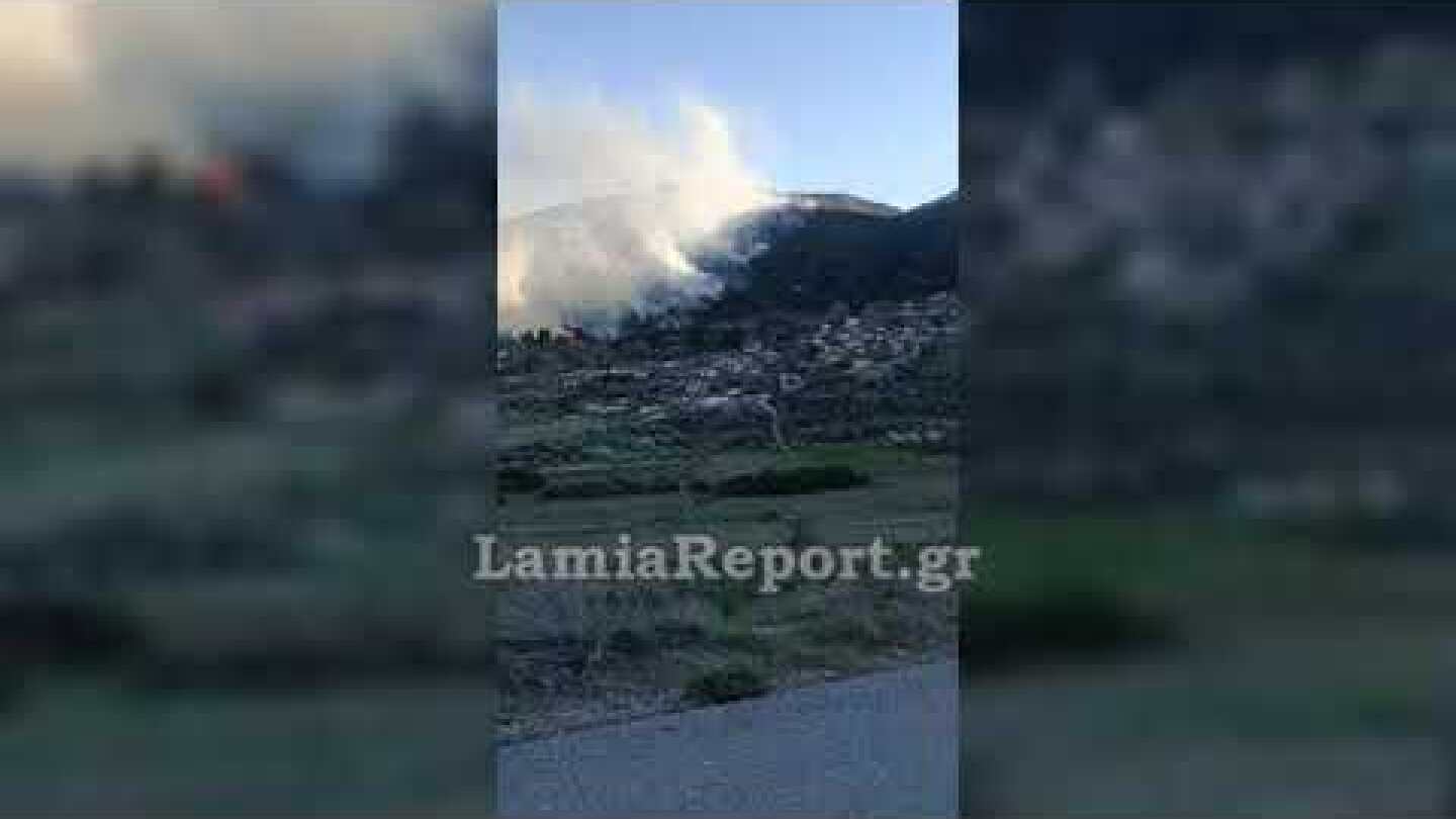 LamiaReport.gr: Πυρκαγιά στα Καραβίδια Μενδενίτσας