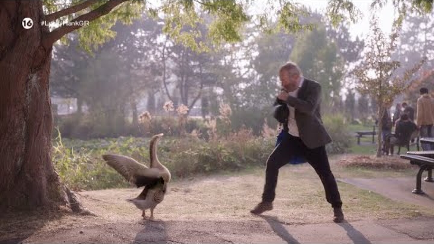 «Lucky Hank», η νέα σειρά του Novacinema4!