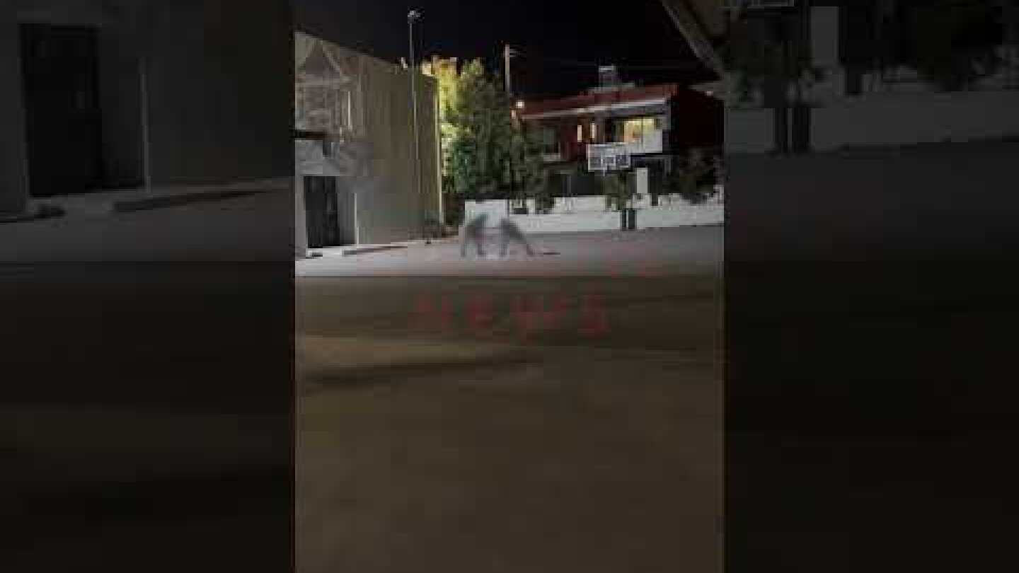 Ηράκλειο: Νέο βίντεο ντοκουμέντο από την έκρηξη στο σχολείο: Τυχεροί που ζούνε