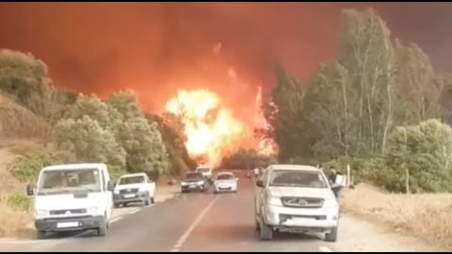 Horrific Wildfires Burn in Algeria - Aug. 2021 حرائق الغابات في الجزائر