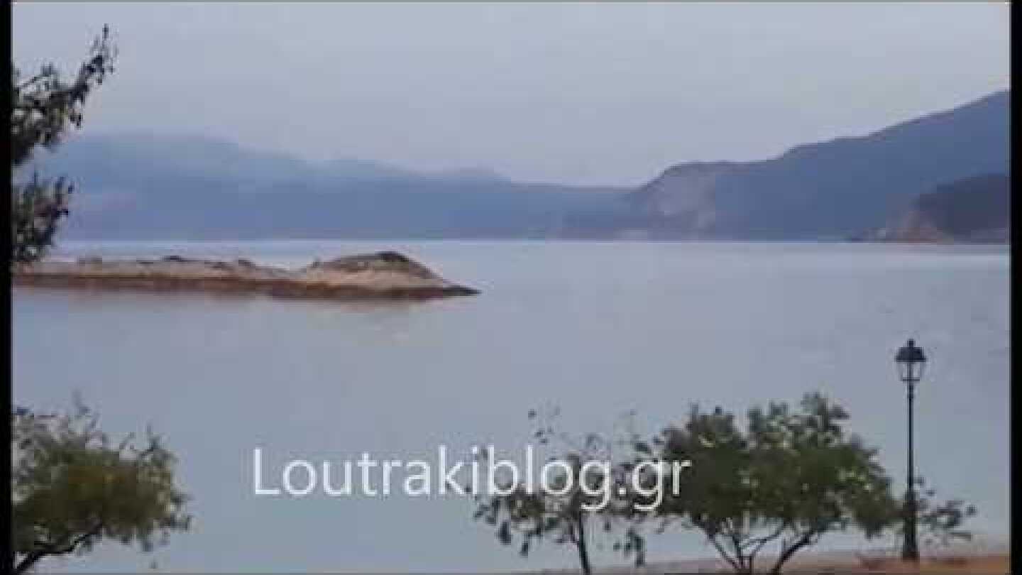 Λουτράκι: Δελφίνια "βολτάρουν" στον Κόλπο των Αλκυονίδων