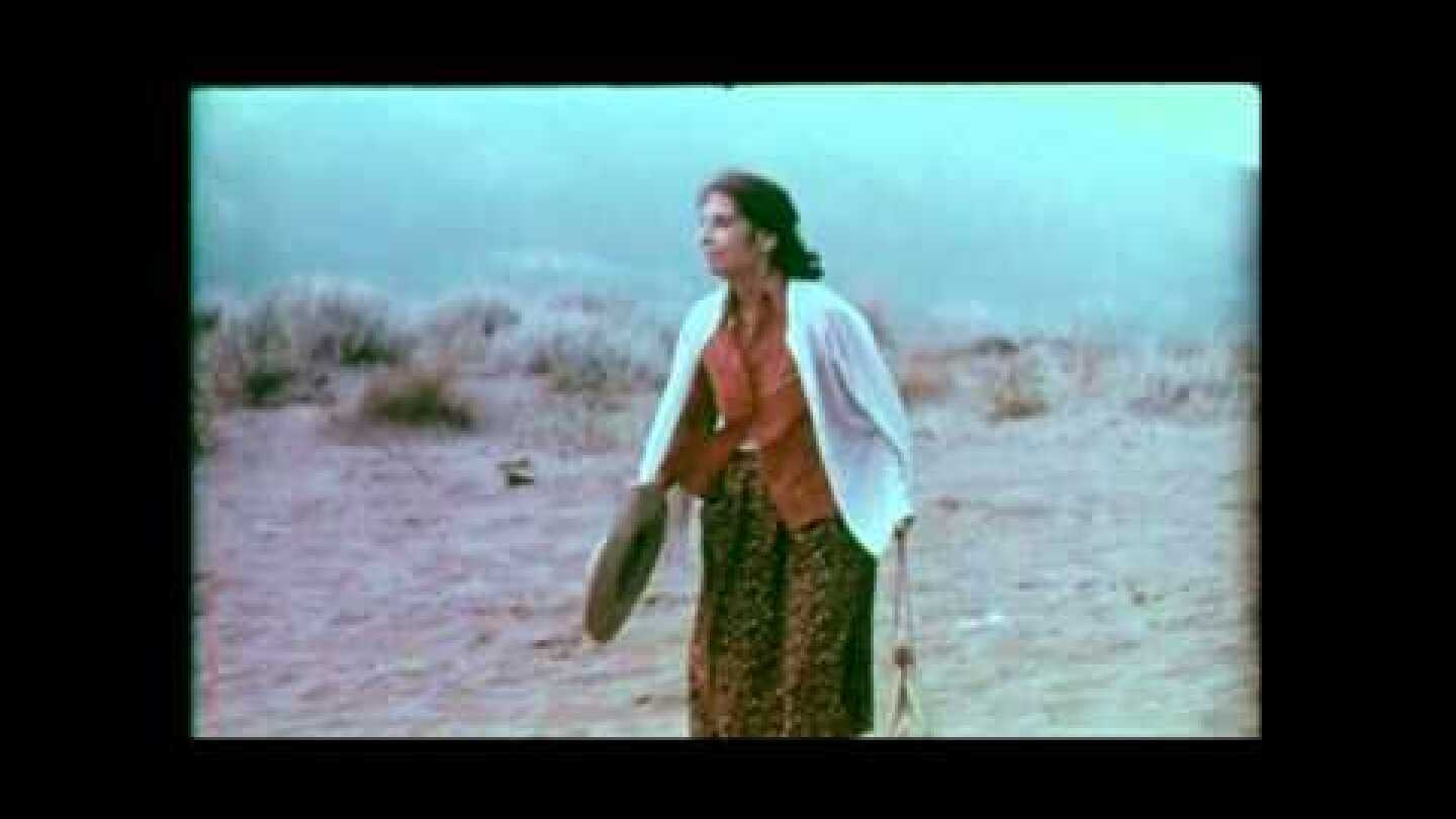 Ταξείδι του Μέλιτος (1979)