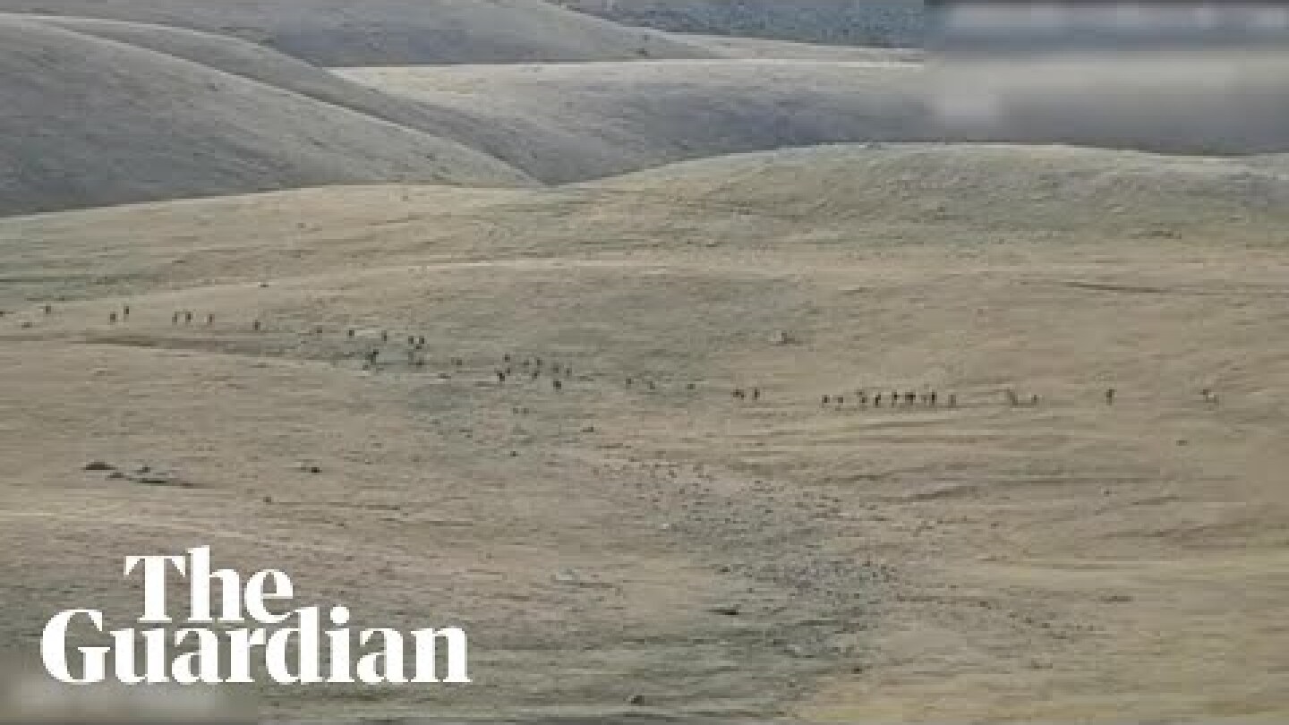 About 100 killed as fighting erupts at the Armenia-Azerbaijan border