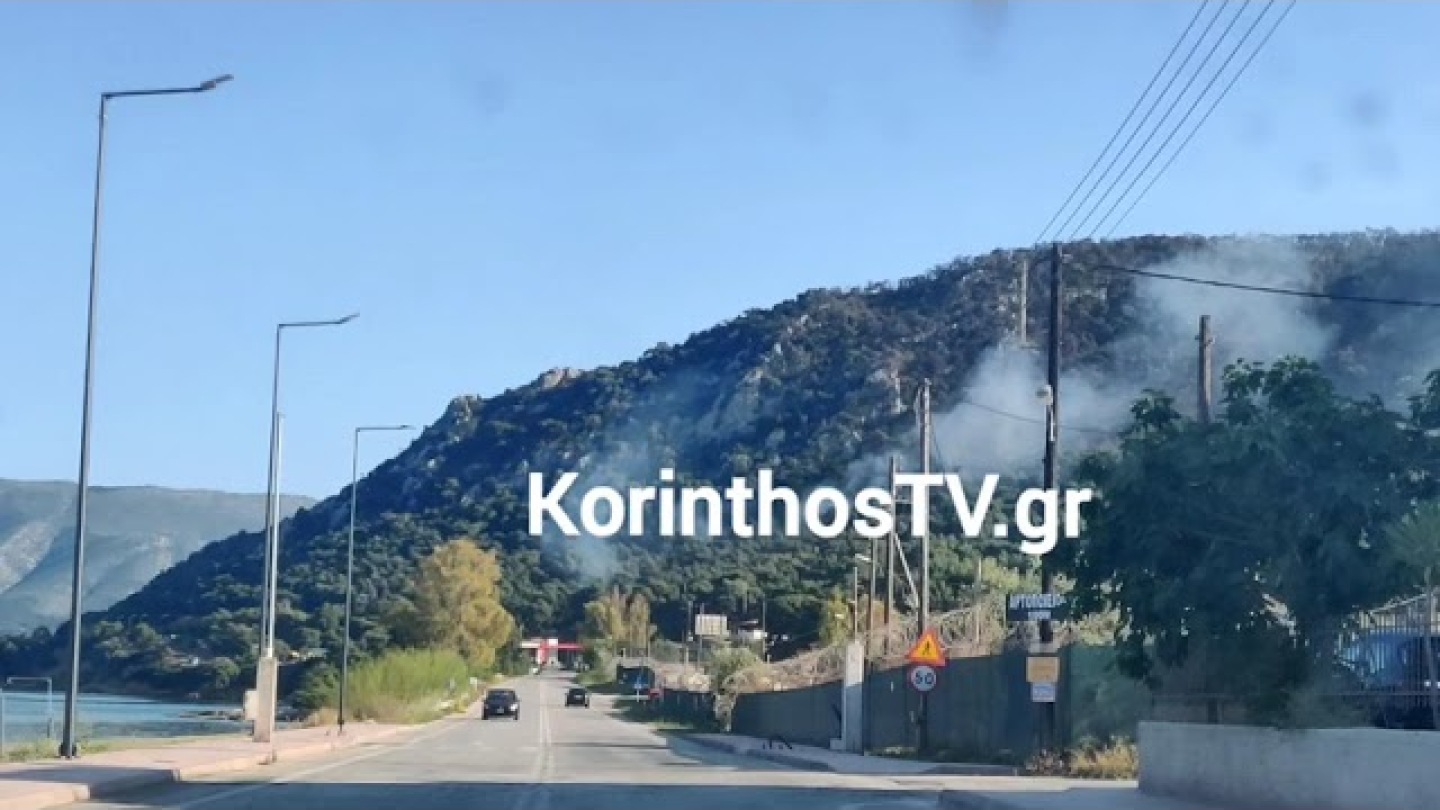 Πυρκαγιά σε δασική έκταση στις Κεχριές