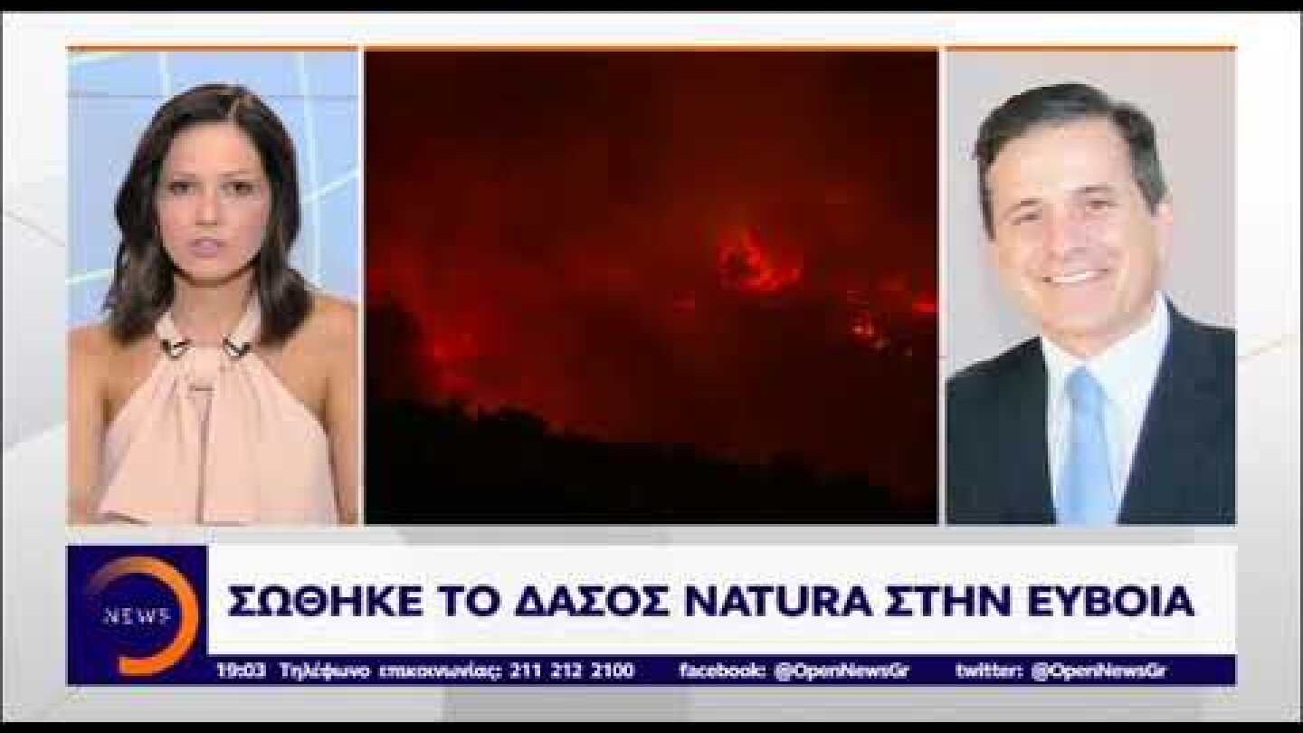 Η φωτιά δεν «άγγιξε» το δάσος NATURA