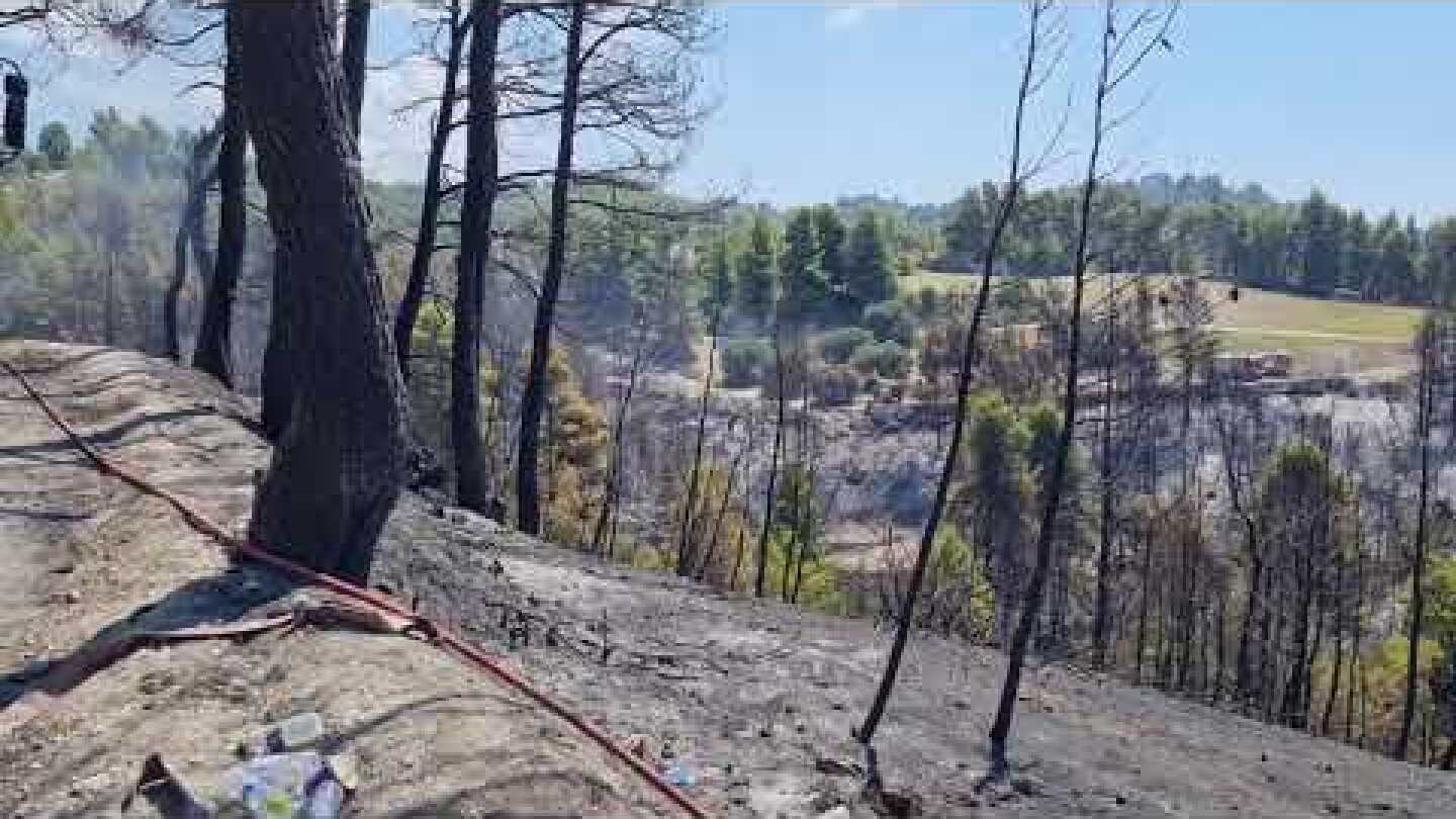 Thestival.gr  φωτιά Κασσάνδρα