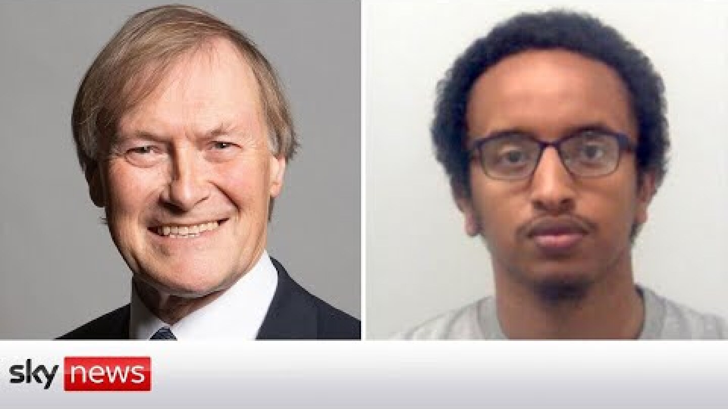 Man given whole-life order for murdering MP Sir David Amess