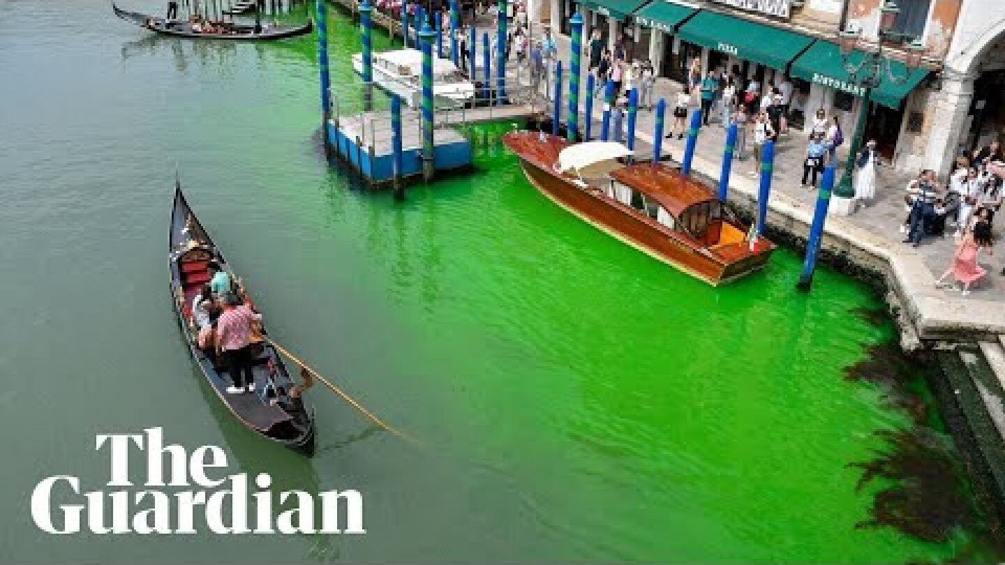 Water in Venice's Grand Canal turns bright green