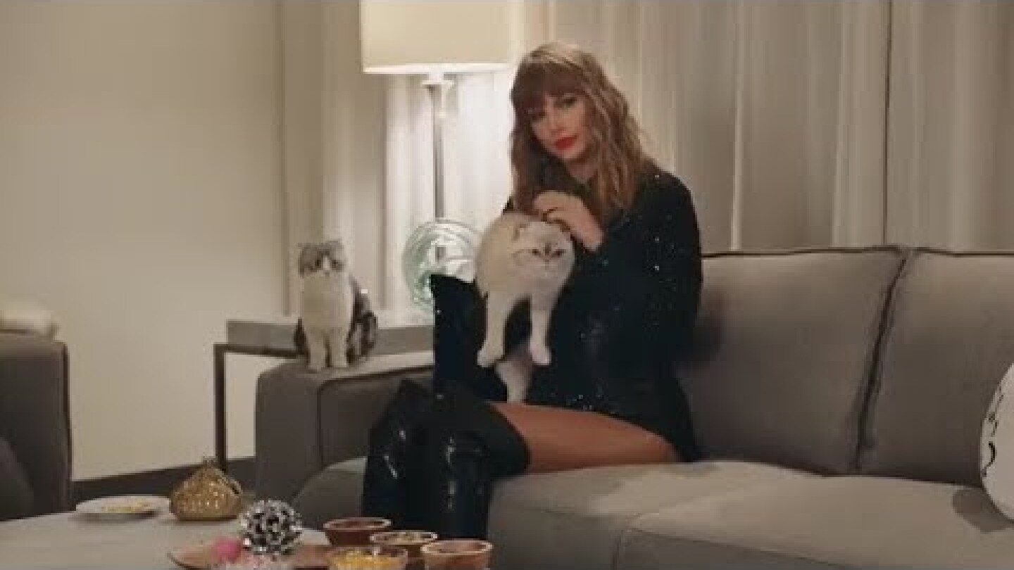 Taylor Swift | Direct Meow | Direct Now