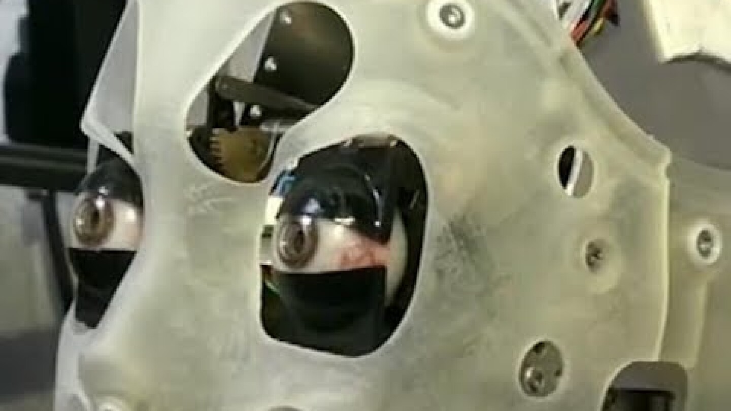 Meet Ai-Da, robot artist| CCTV English