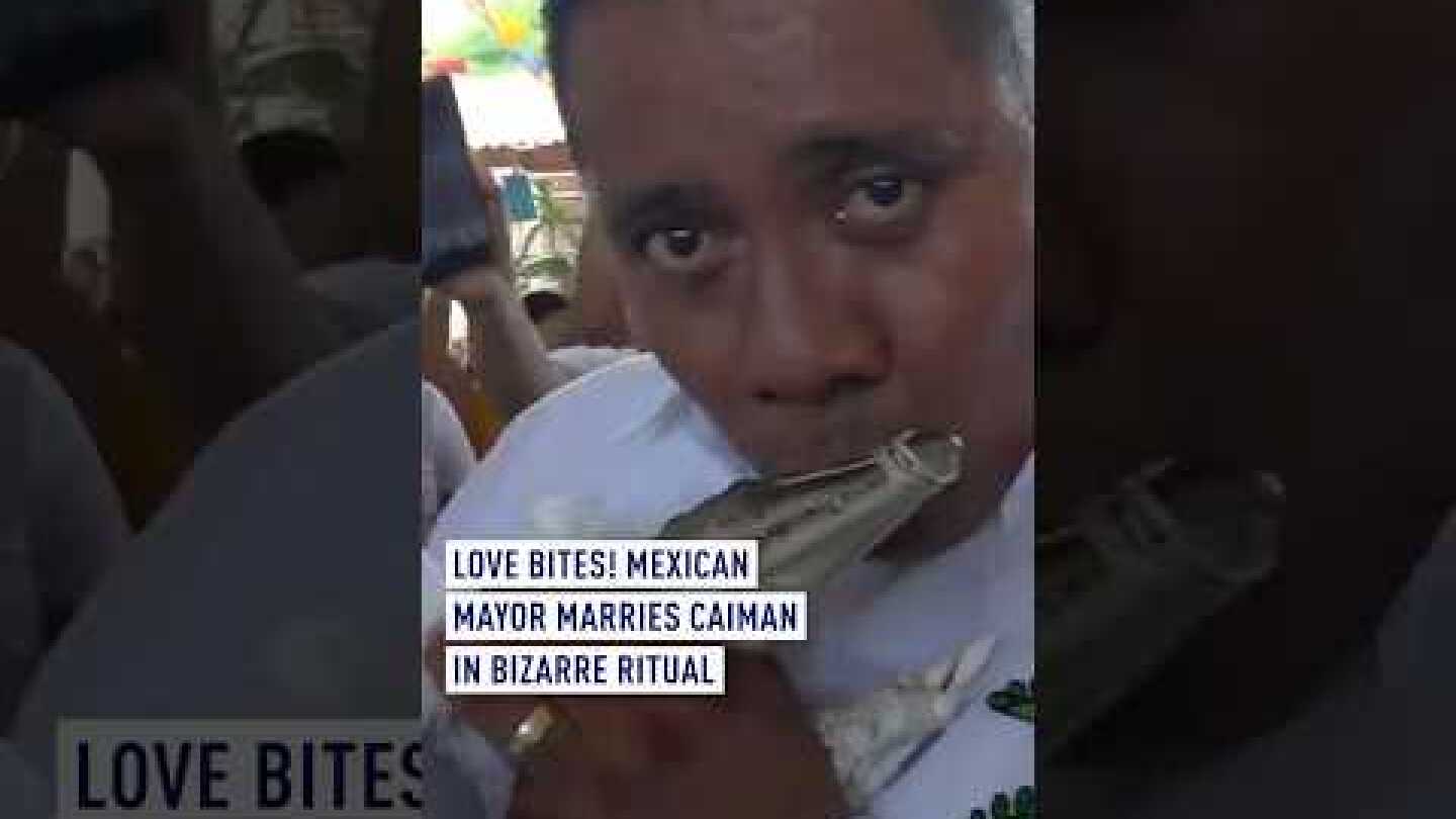 Love bites! Mexican mayor marries caiman in bizarre ritual
