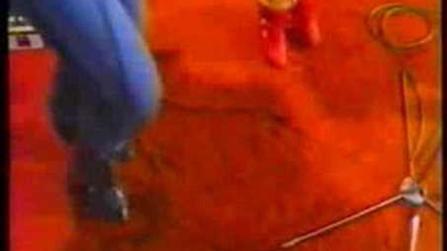 Πωλίνα "Πάμε για τρέλες στις Σεϋχέλλες''