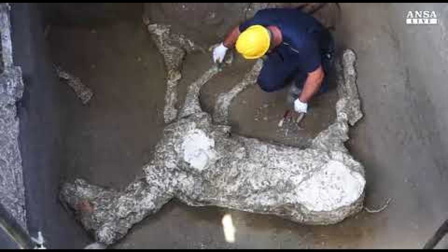 Nuove scoperte a Pompei, ecco il calco di un cavallo