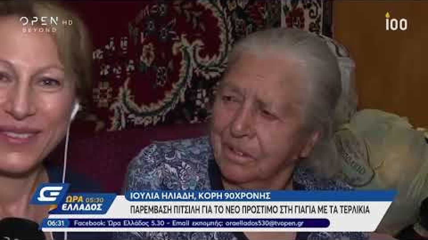 Νέο πρόστιμο για τη γιαγιά με τα τερλίκια - Ώρα Ελλάδος 05:30 25/4/2019 | OPEN TV