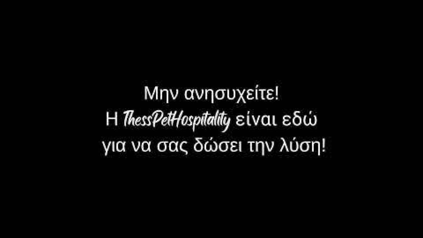 Thesspethospitality - Εικονική Επιχείρηση 2023 - JA Greece