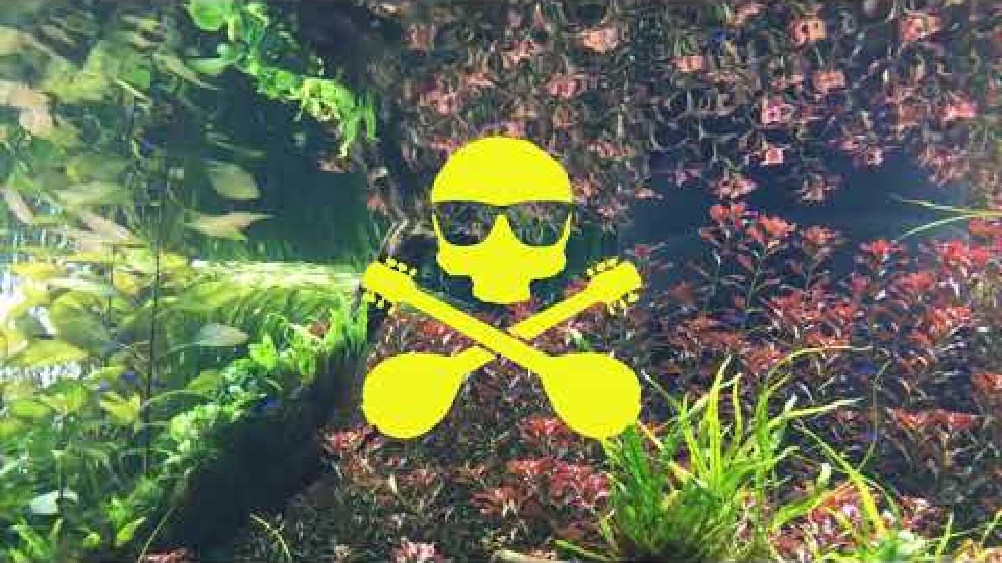 Ρόδες United : Πολιτική και άλλα σκατά