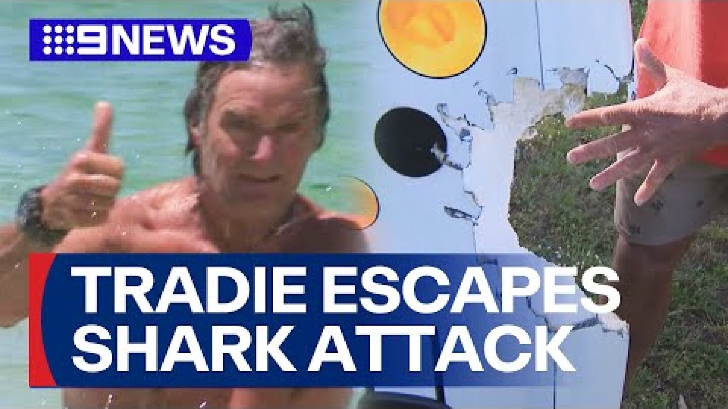 Tradie escapes shark attack off WA beach | 9 News Australia