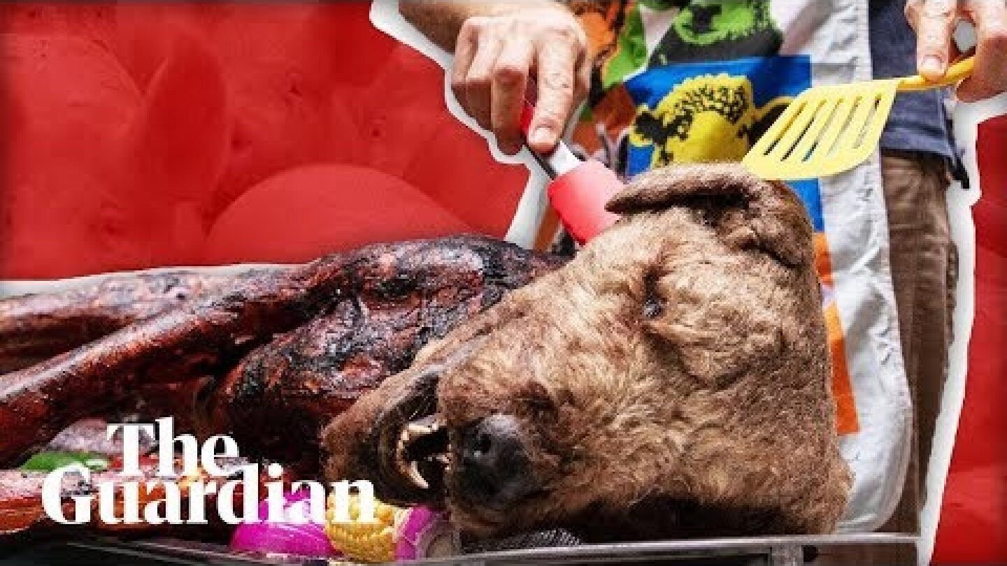 Graffiti and 'barbecued dogs': ​have​​ vegan ​protests​ gone too far​?​