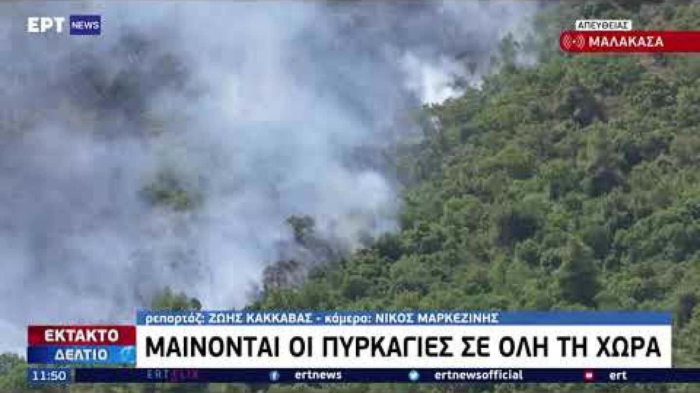 Στη Μαλακάσα το μεγαλύτερο μέτωπο – Συνεχείς αναζωπυρώσεις | 07/08/2021 | ΕΡΤ
