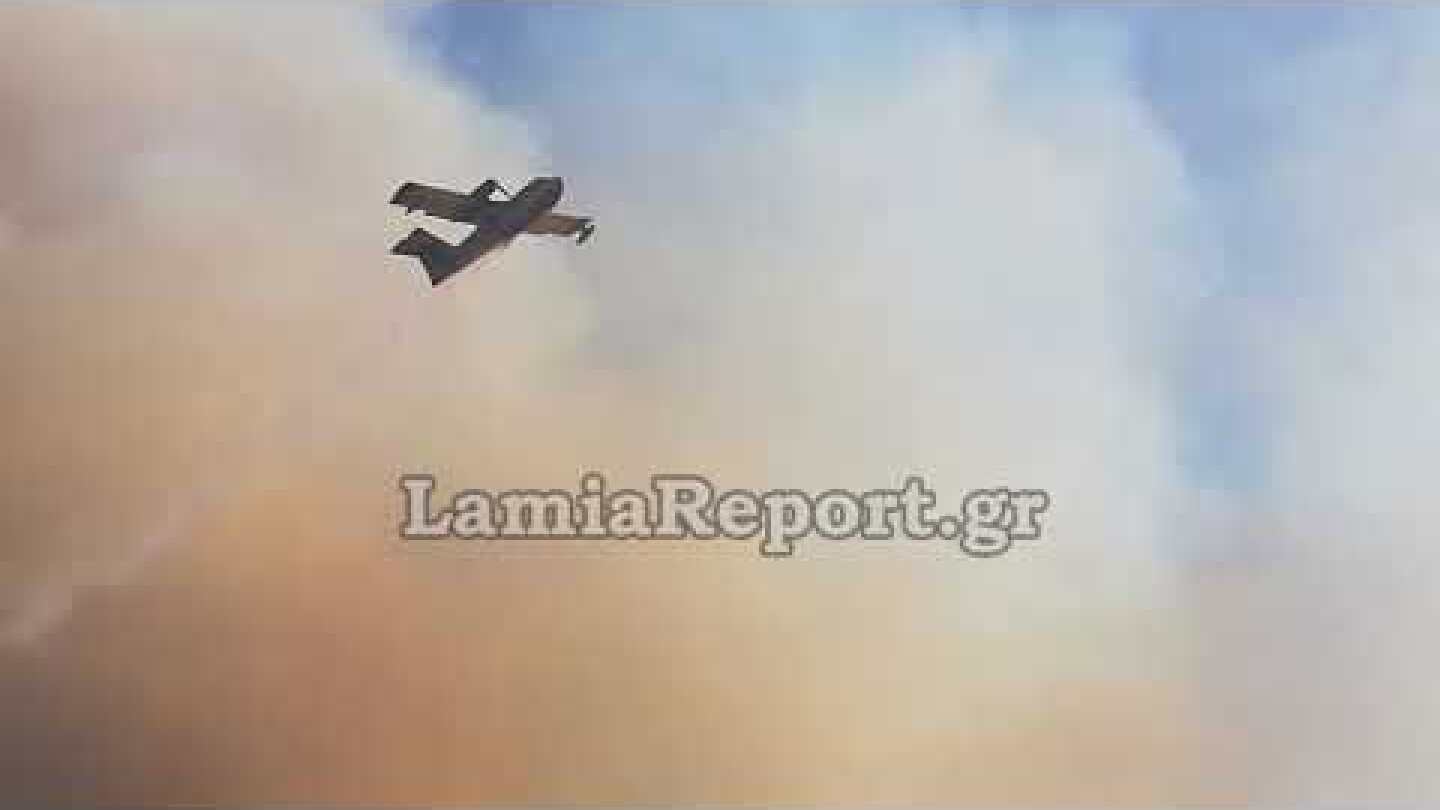 LamiaReport.gr: Φωτιά στο Μαρτίνο