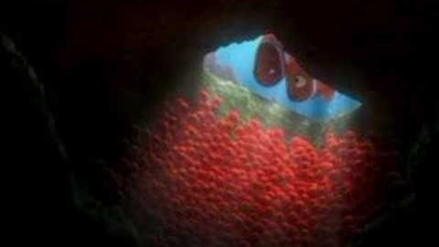 Finding Nemo opening