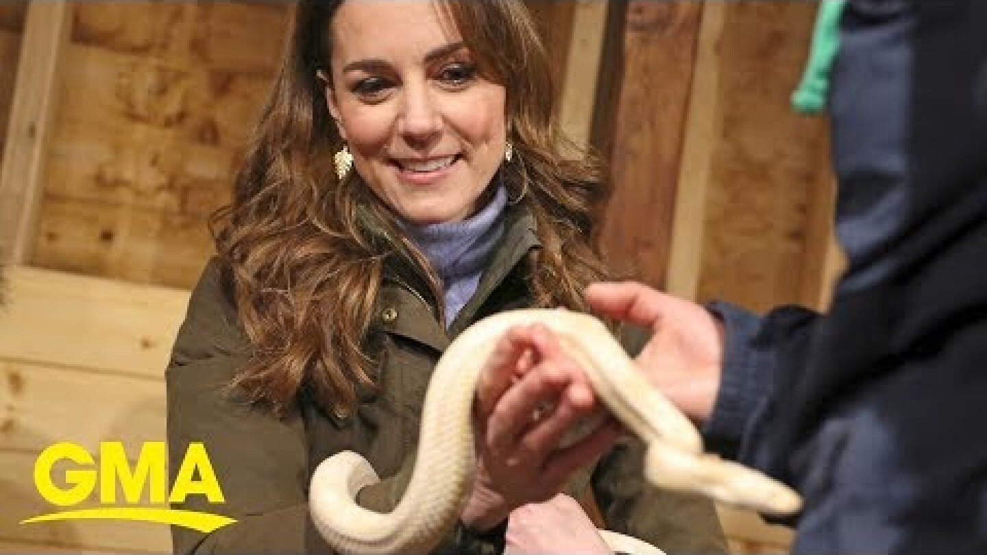 Kate Middleton held a yellow snake during her trip to Northern Ireland | GMA Digital