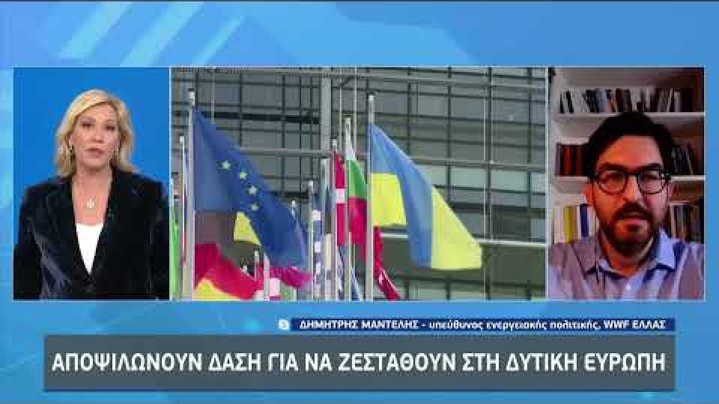Αποψιλώνουν δάση για να ζεσταθούν στη Δυτική Ευρώπη | 19/12/22 | ΕΡΤ