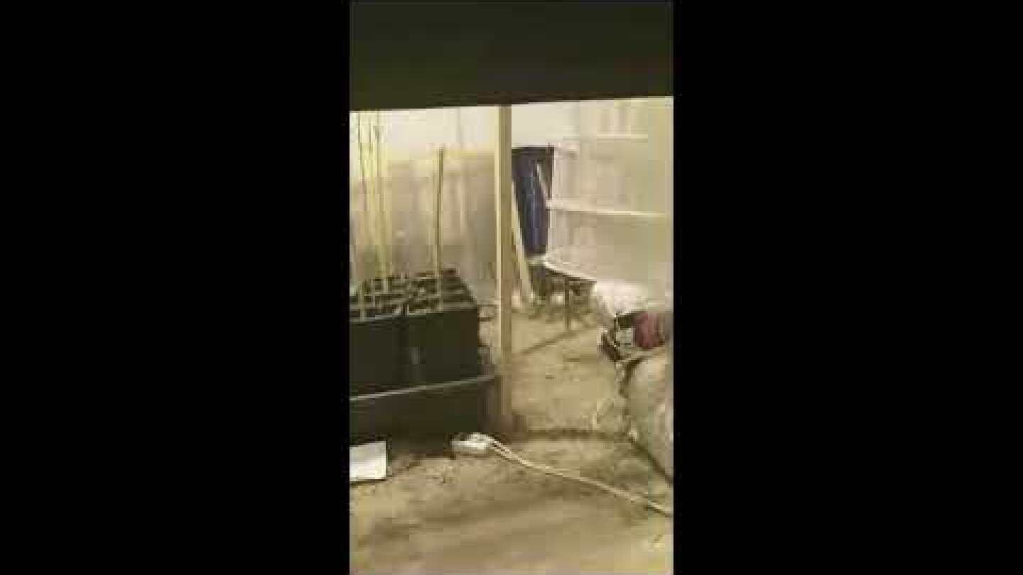 Εντοπίστηκε πλήρως οργανωμένο σύστημα υδροπονικής καλλιέργειας κάνναβης σε σπίτι στην Ηγουμενίτσα