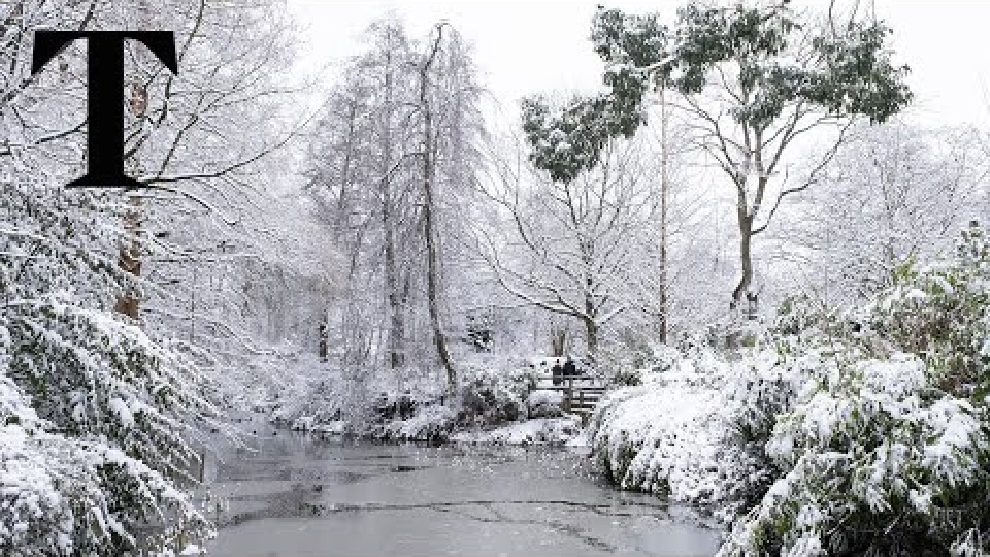 Four children pulled from icy lake in Birmingham