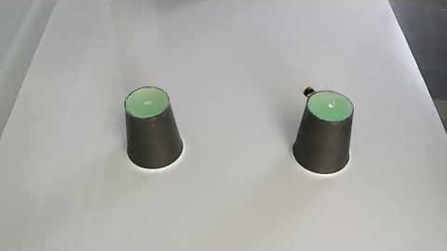 Bees learned to recognise flashing patterns indicating food