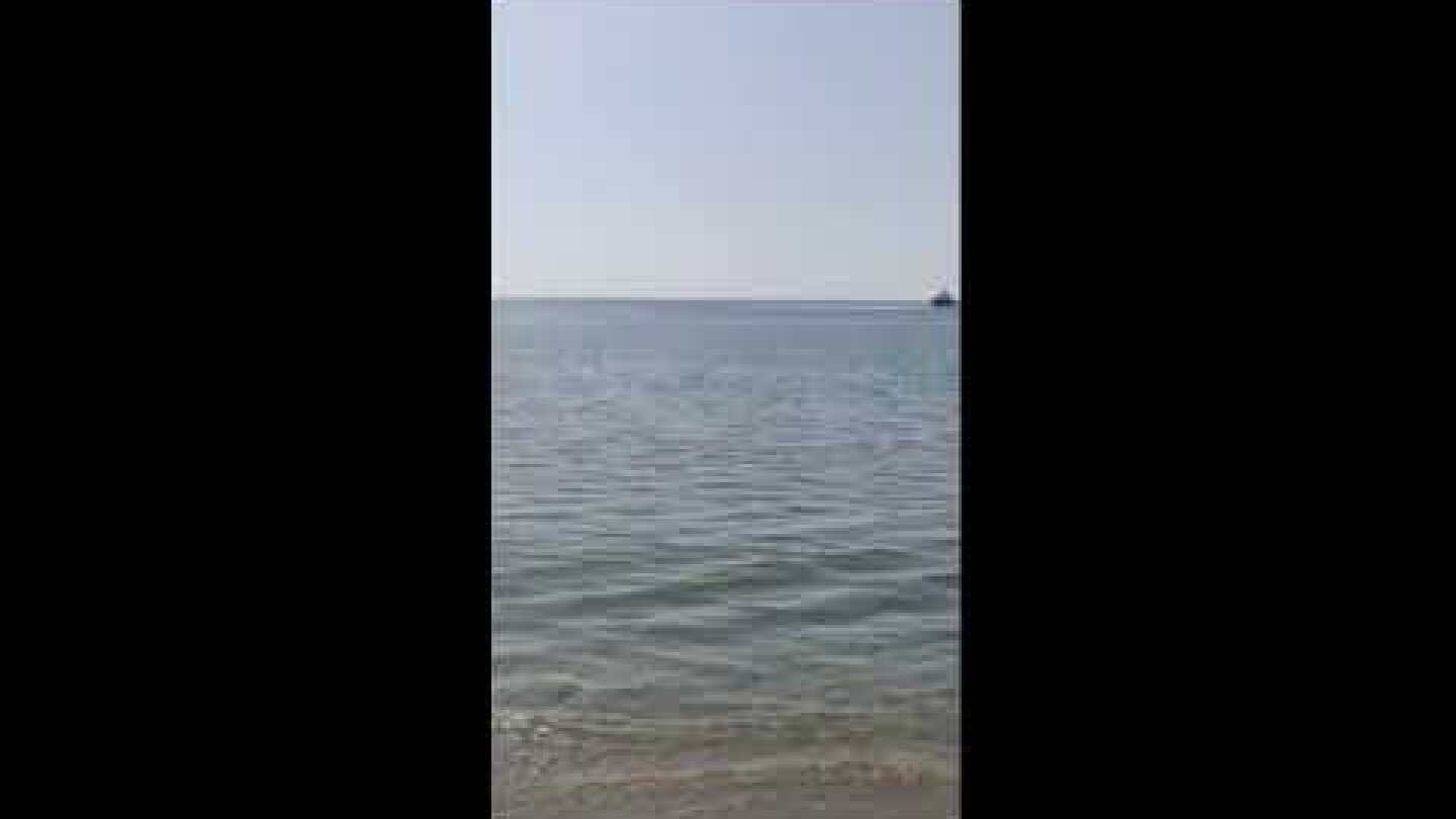 Βρέθηκε όλμος στην παραλία του Σχινιά στον Μαραθώνα