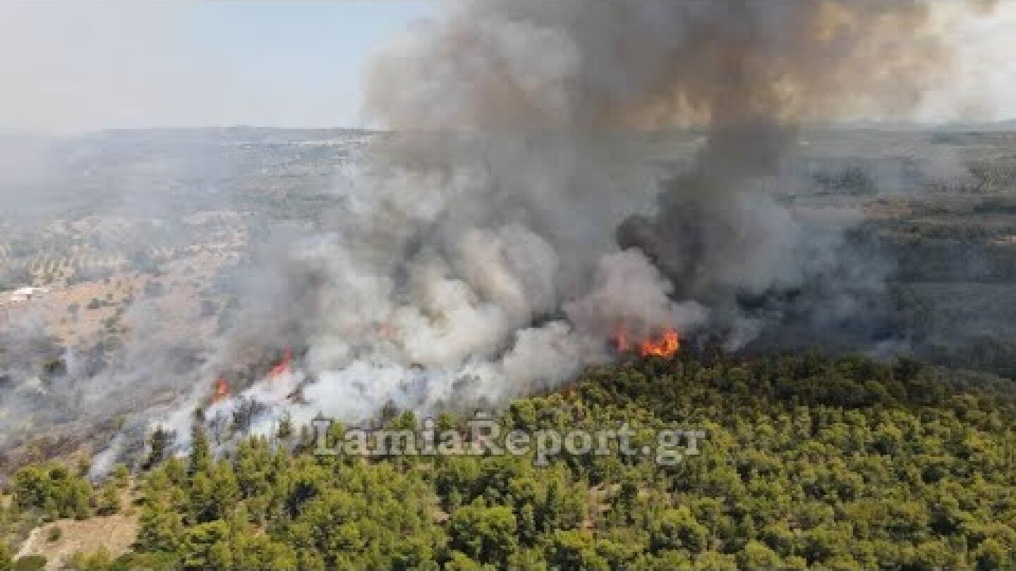 LamiaReport.gr: Η φωτιά στον Θεολόγο από drone