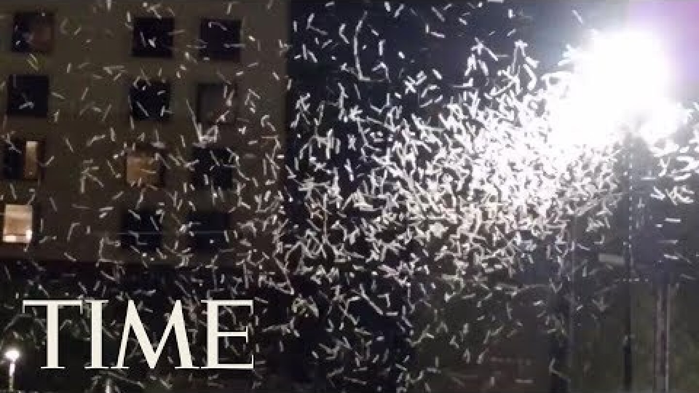 Las Vegas' Huge Grasshopper Swarm Is Showing Up On Weather Radar | TIME