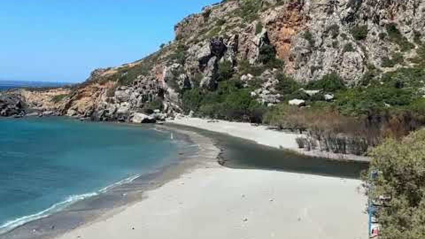 Φοινικόδασος Πρέβελης: Αυτοψία μετά τις φλόγες – Οι πρώτες εικόνες από την καταστροφή