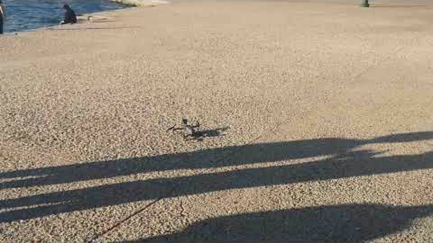 Drone πάνω από την παραλία ενημερώνει τον κόσμο να μείνει σπίτι